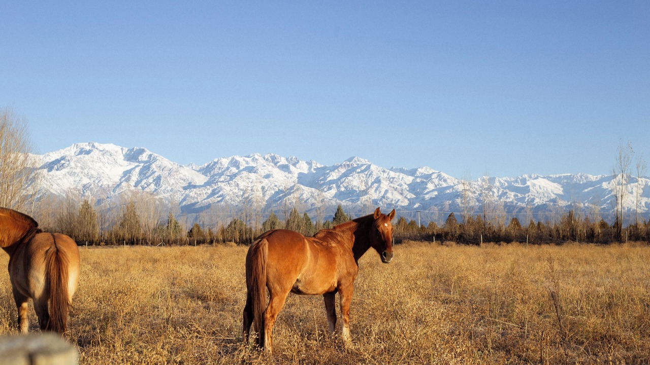 Photo of Outdoor in San Carlos Department