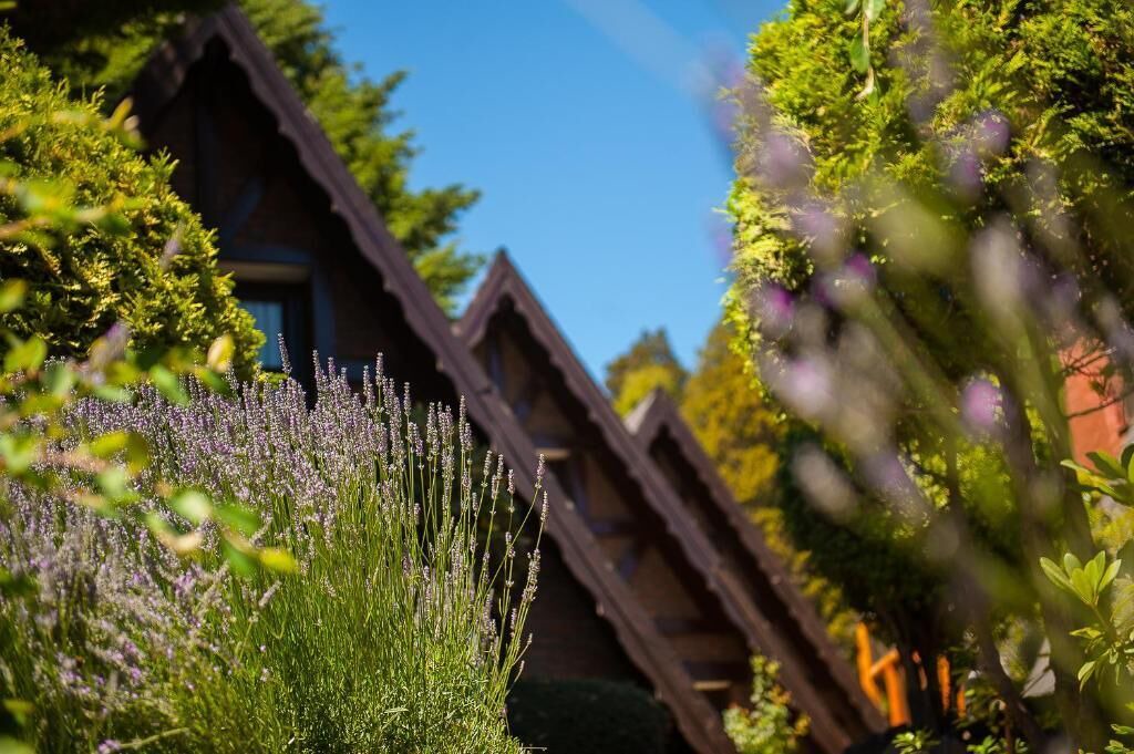 Photo of Outdoor in San Martin de los Andes