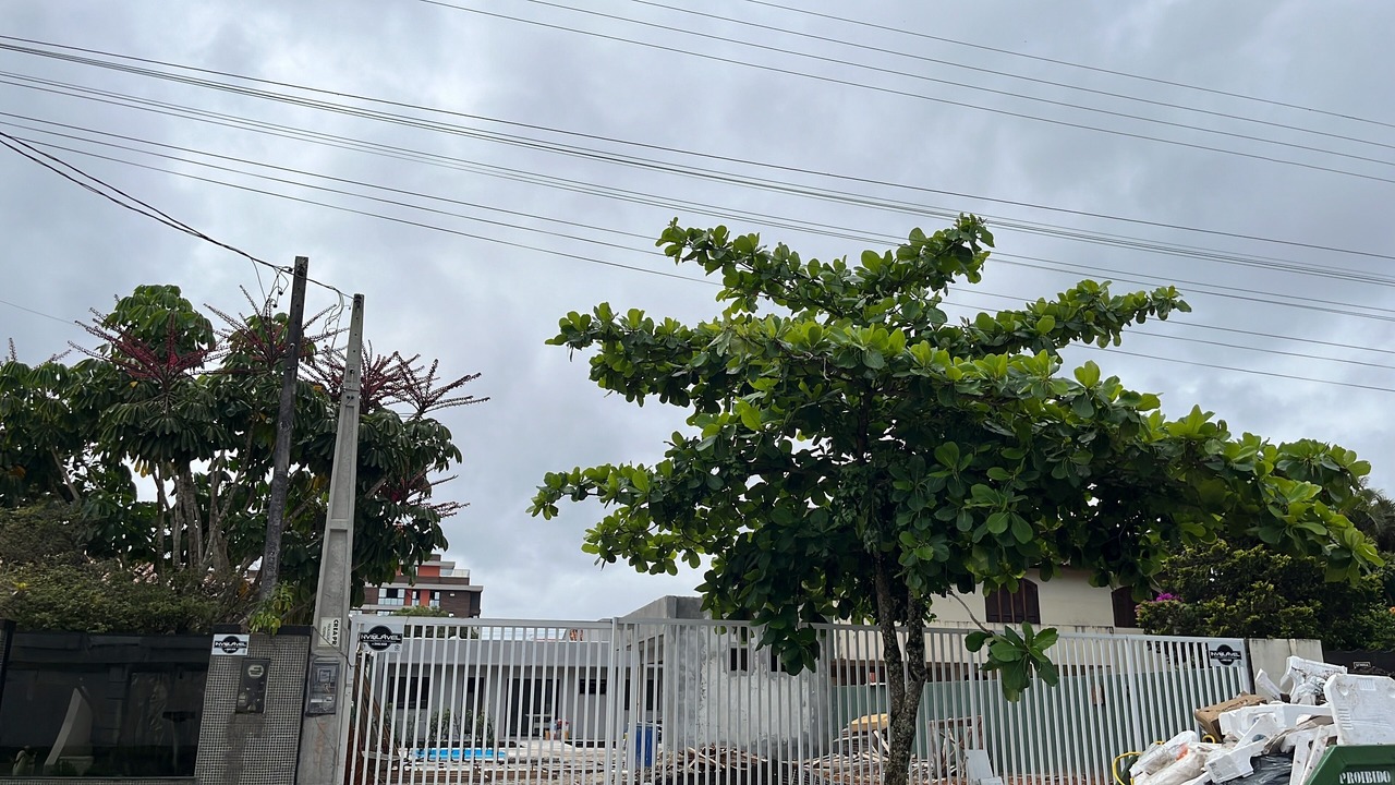 Photo of Others in Guaratuba