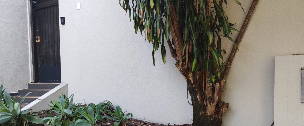 Photo of Outdoor in Londrina