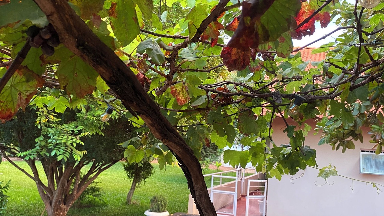 Photo of Patio Balcony in Assis