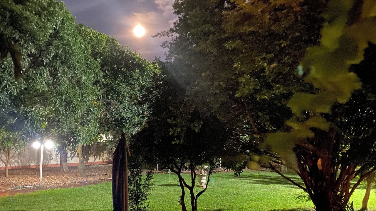 Photo of Outdoor in Assis