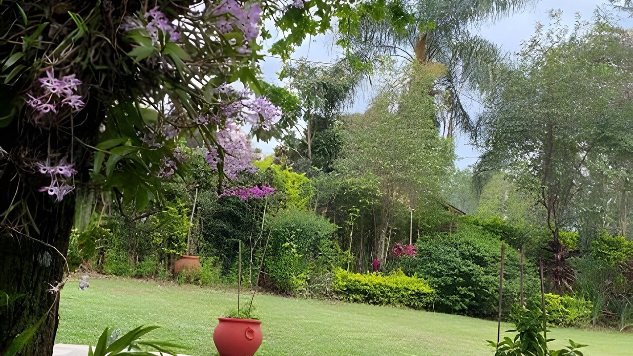 Photo of Outdoor in Obera