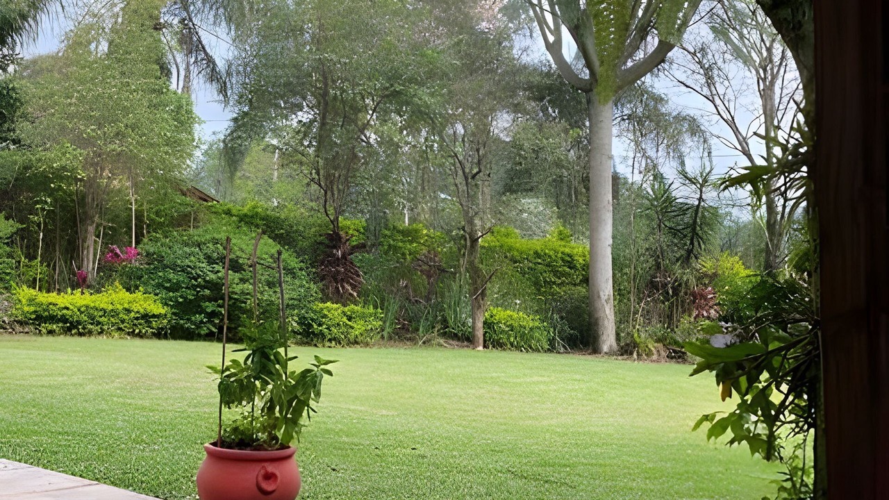 Photo of Outdoor in Obera