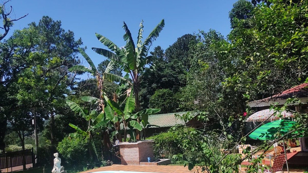 Photo of Outdoor in Obera