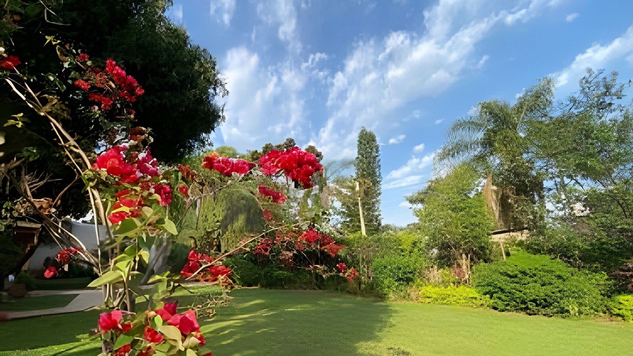 Photo of Outdoor in Obera