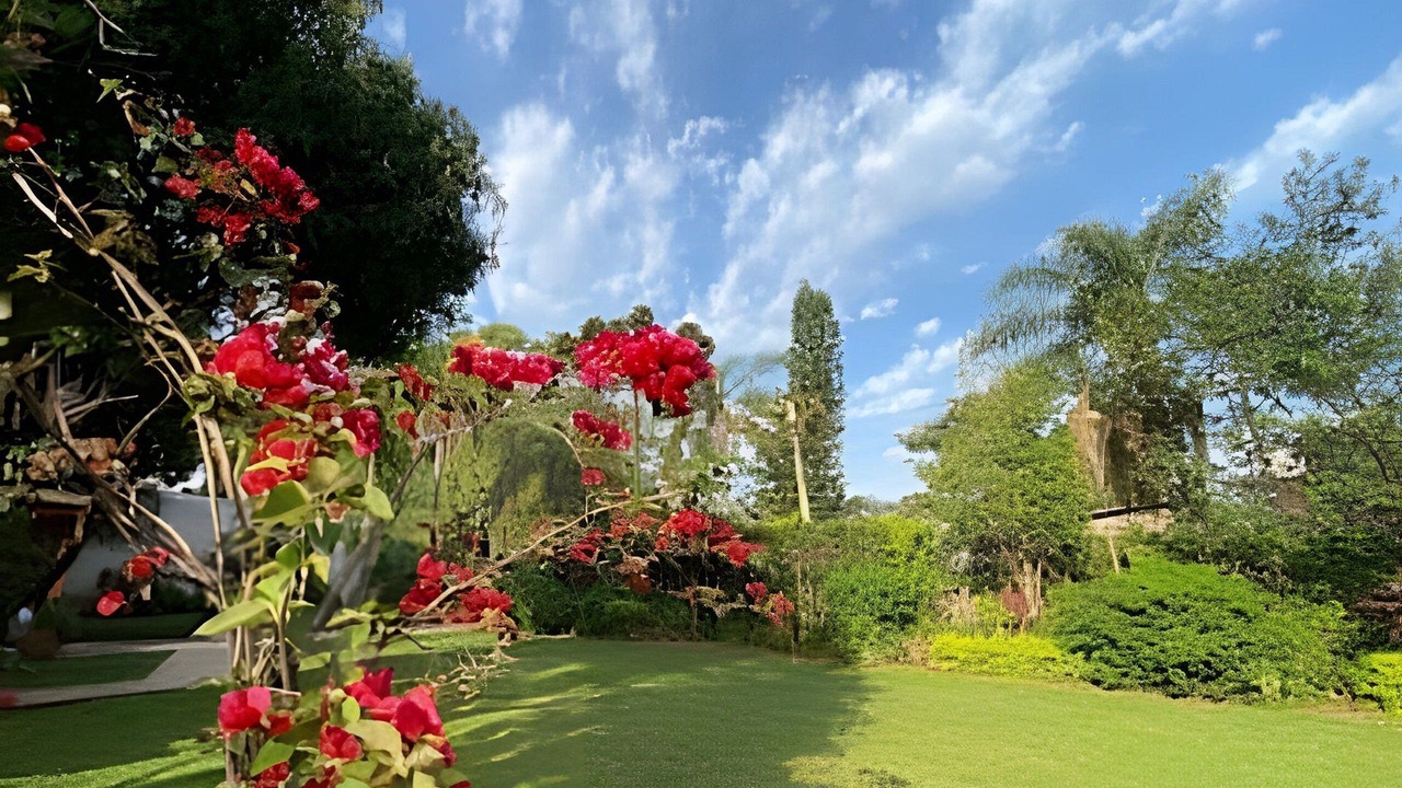 Photo of Outdoor in Obera