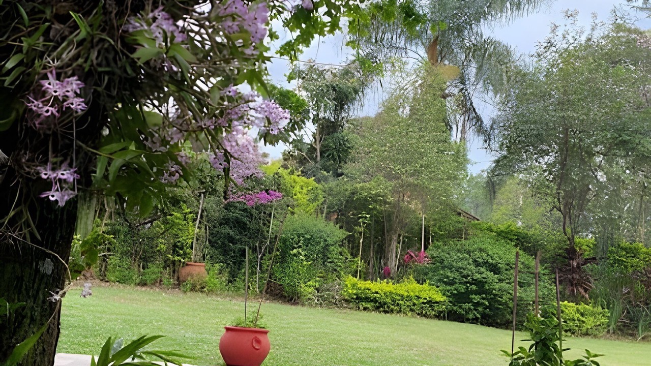Photo of Outdoor in Obera