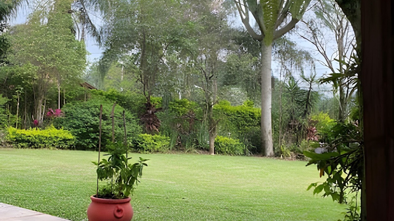 Photo of Outdoor in Obera
