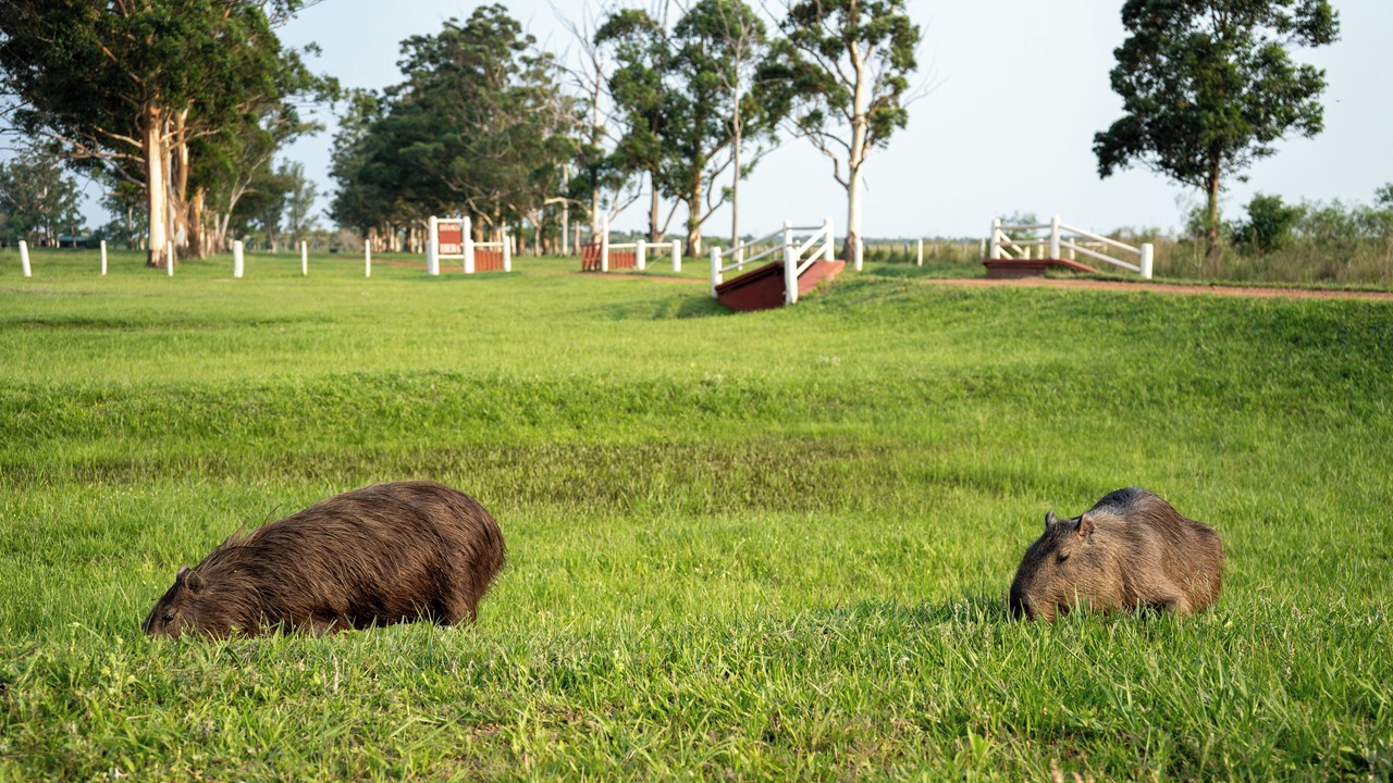 Photo of Outdoor in Colonia Carlos Pellegrini