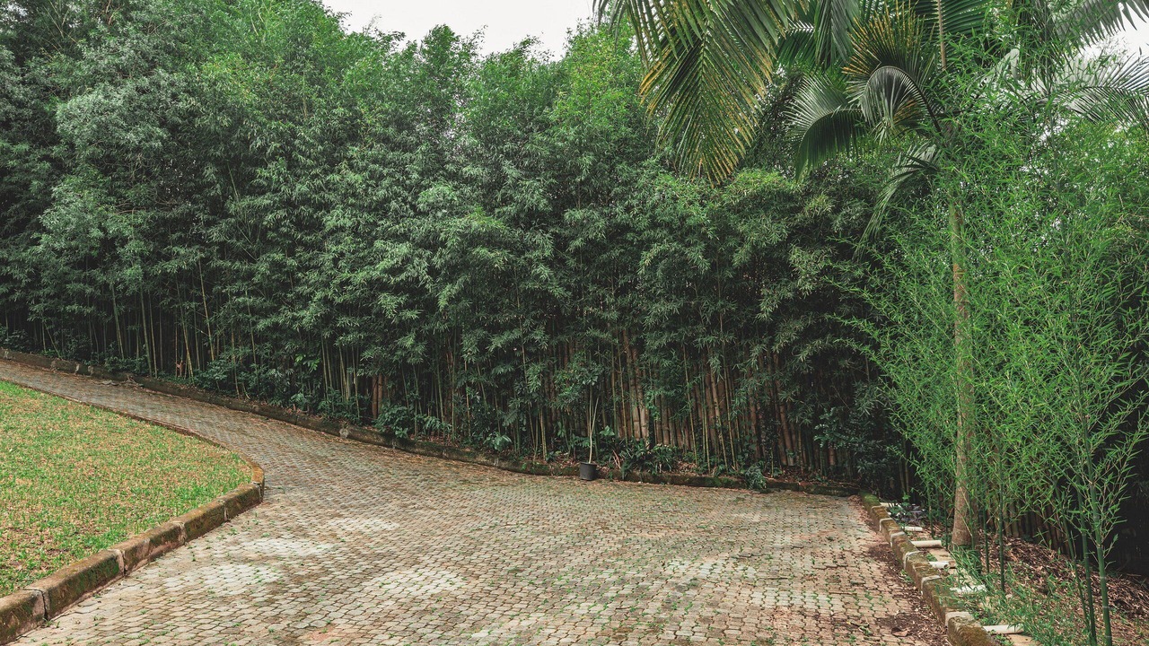 Photo of Others in Carapicuiba