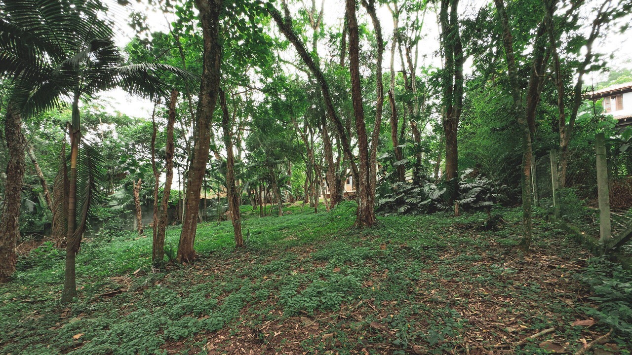 Photo of Others in Carapicuiba