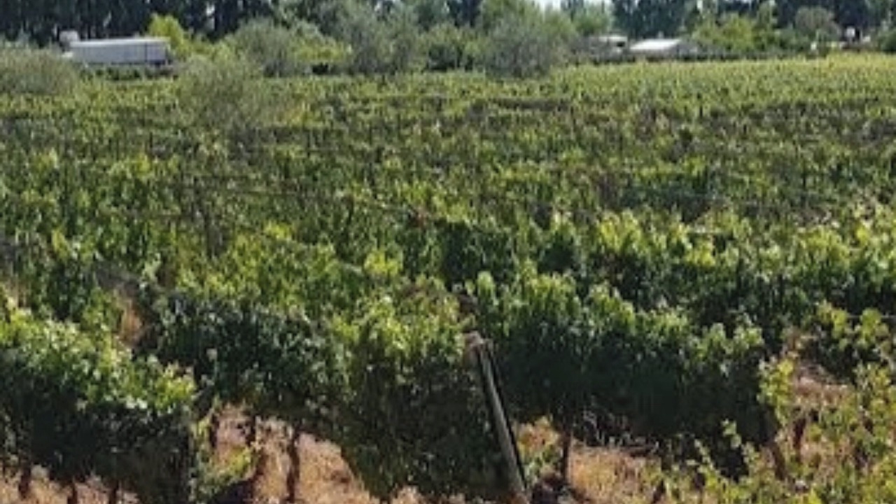 Photo of Outdoor in Lujan de Cuyo
