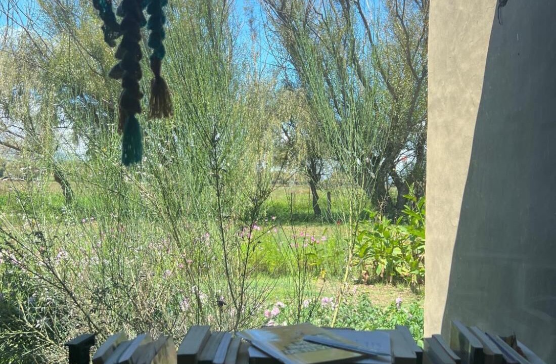 Photo of Others in Tafi del Valle
