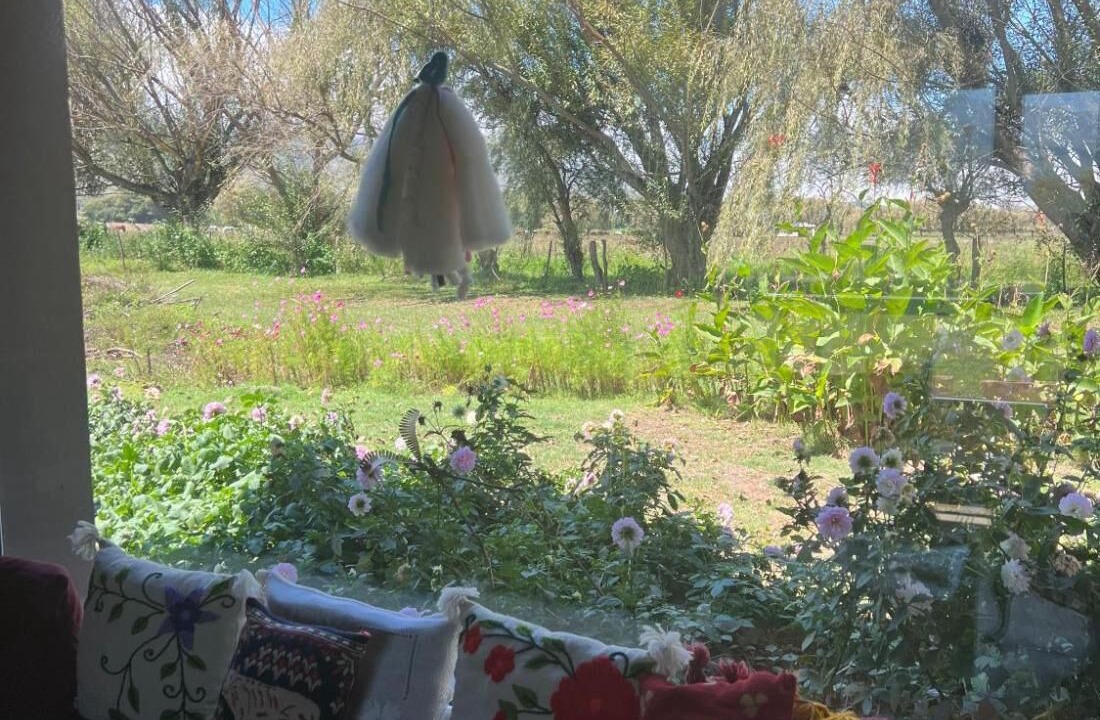 Photo of Others in Tafi del Valle