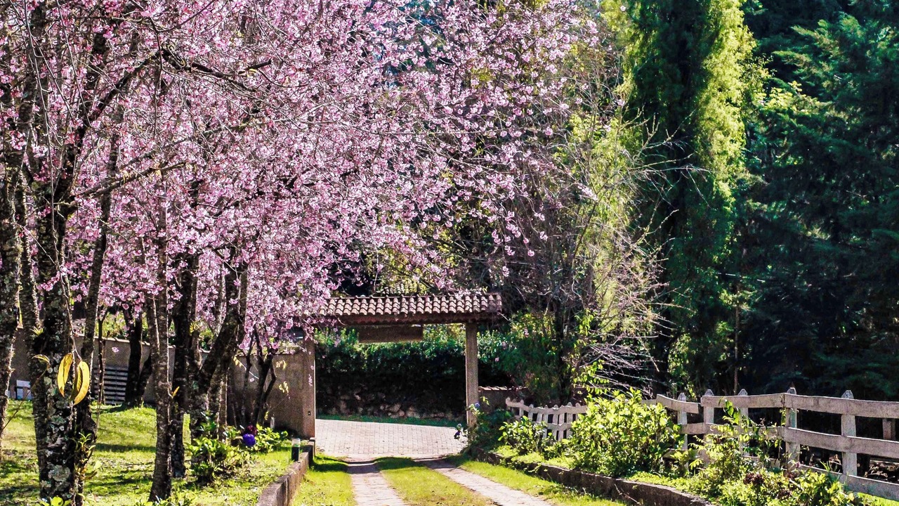 Photo of Outdoor in Goncalves
