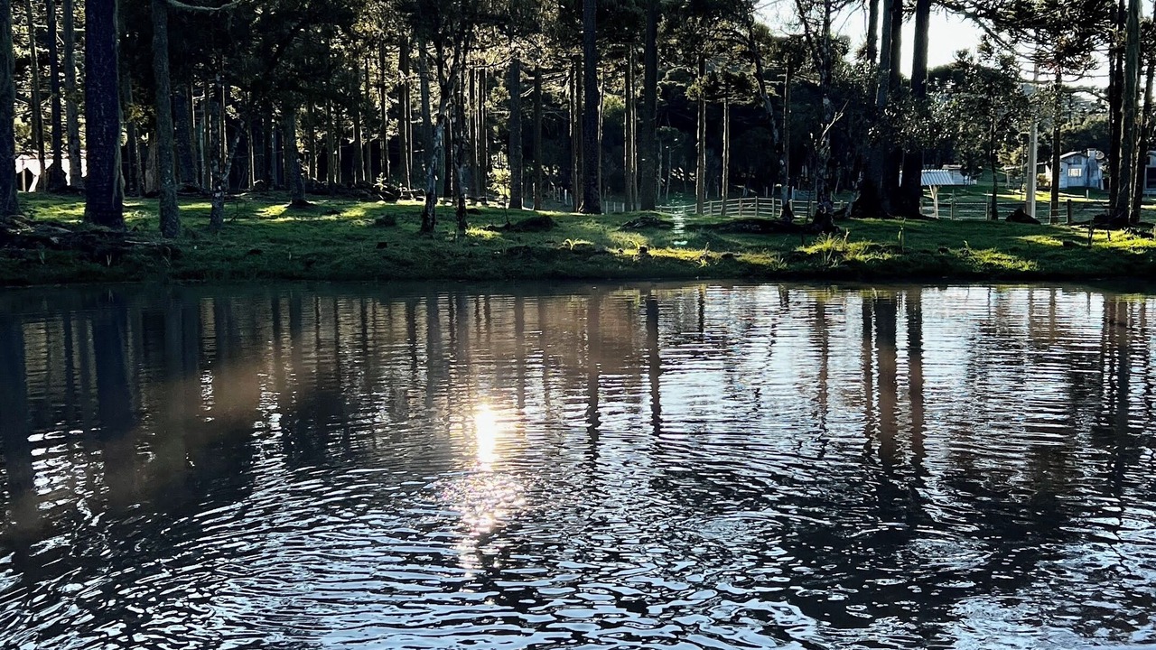 Photo of Outdoor in Sao Joaquim