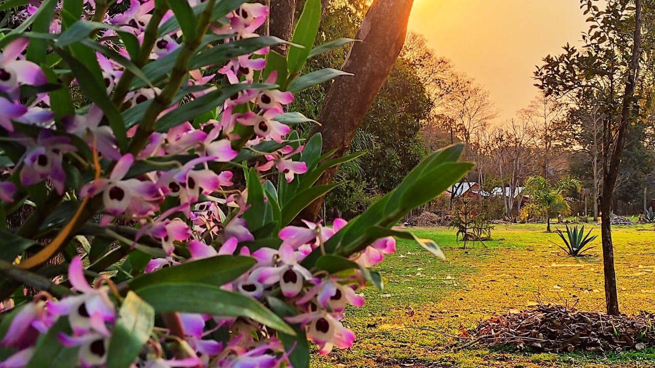 Photo of Outdoor in Zona Granja
