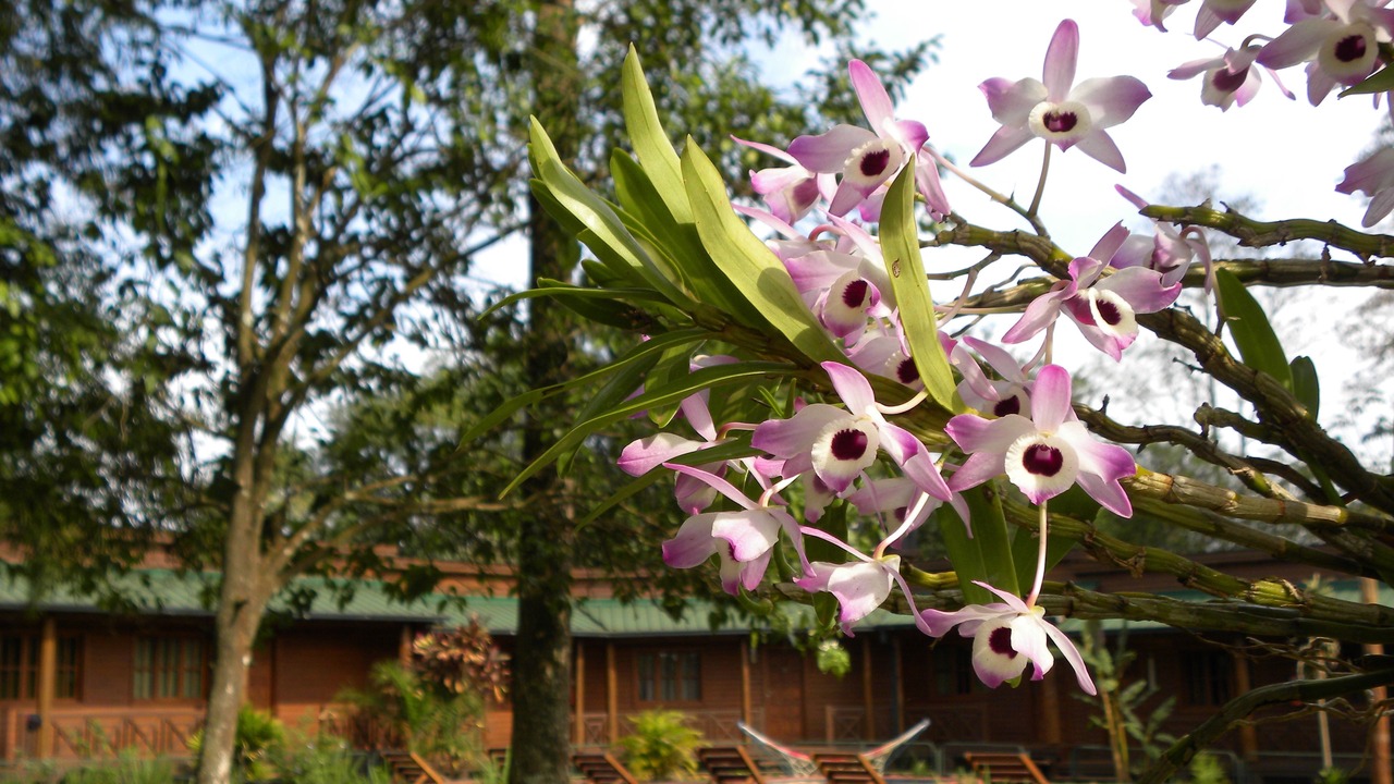 Photo of Outdoor in Zona Granja