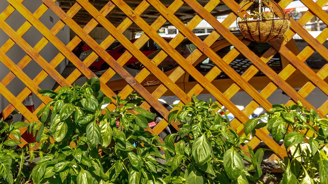 Photo of Outdoor in Ingleses do Rio Vermelho