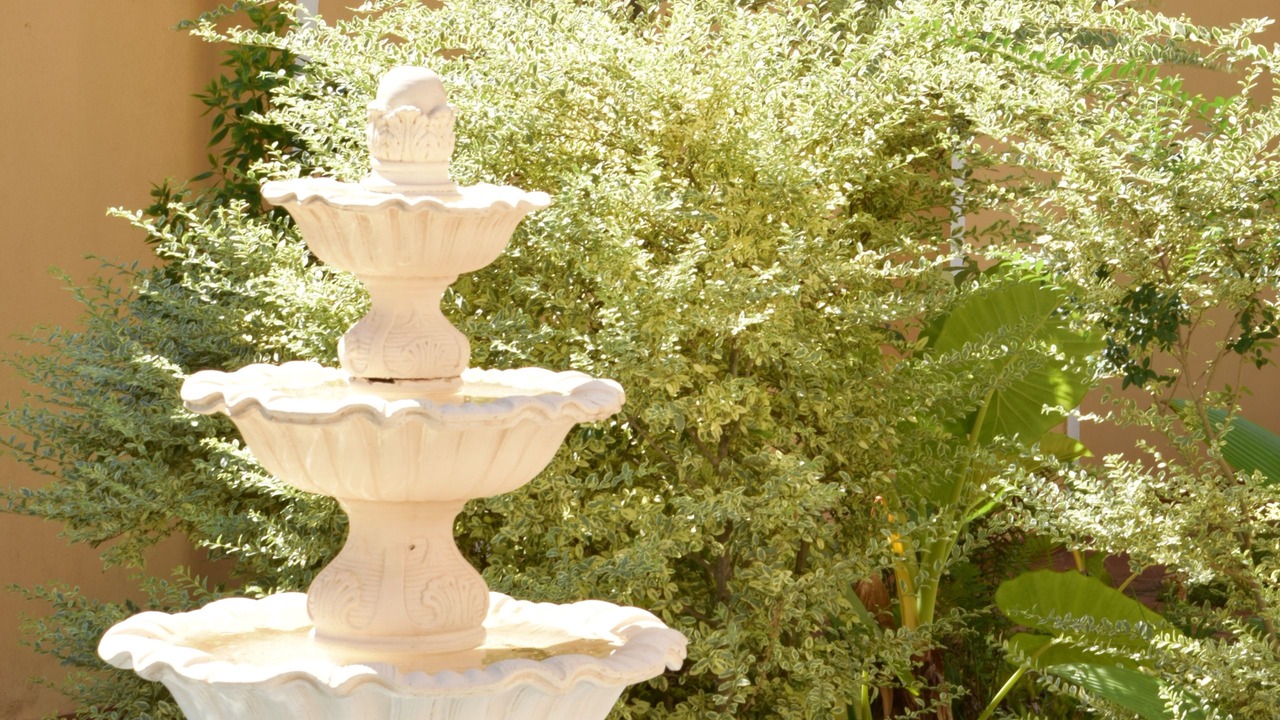 Photo of Outdoor in Zona Granja