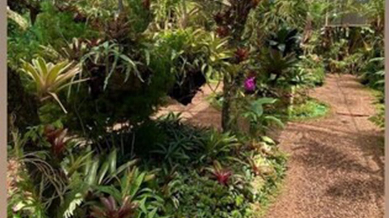 Photo of Outdoor in Zona Granja