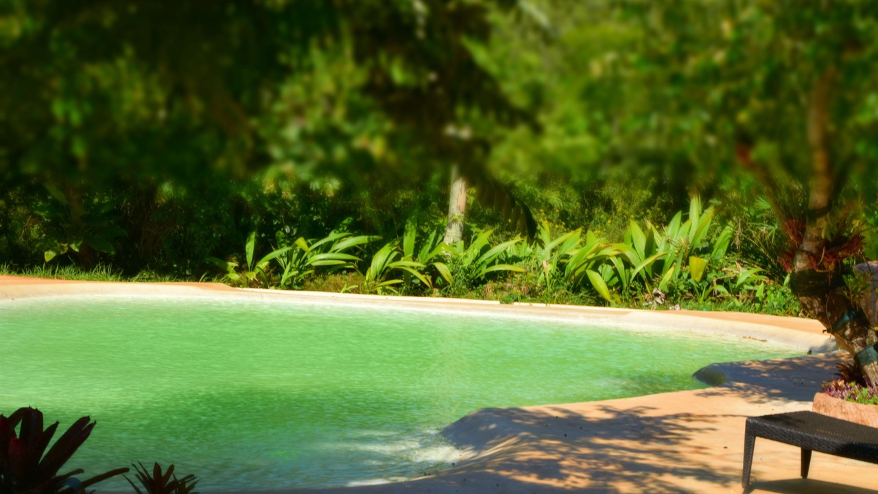 Photo of Outdoor in Zona Granja
