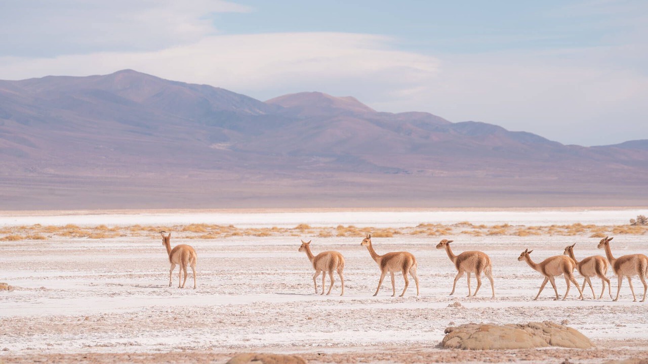 Photo of Others in Purmamarca
