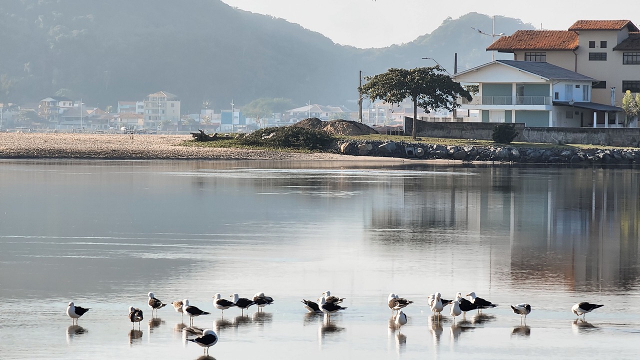 Photo of Others in Ubatuba
