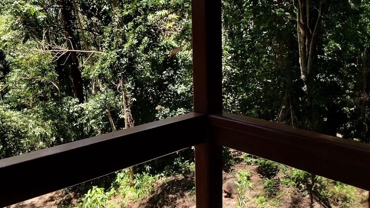 Photo of Outdoor in Florianopolis