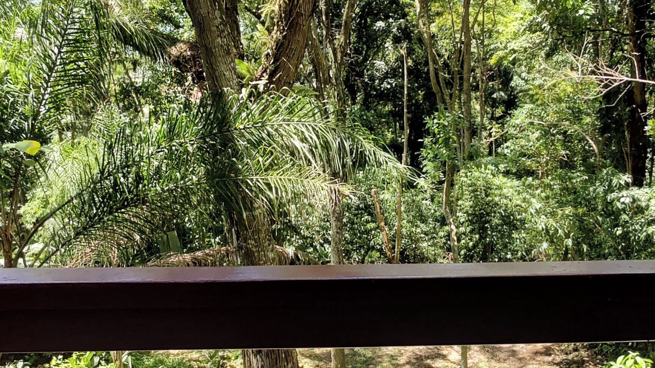 Photo of Outdoor in Florianopolis