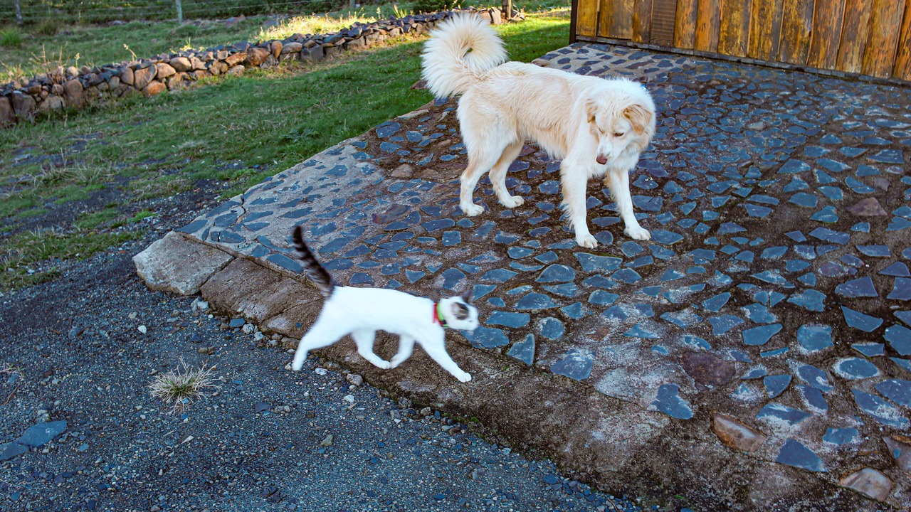 Photo of Outdoor in Urubici