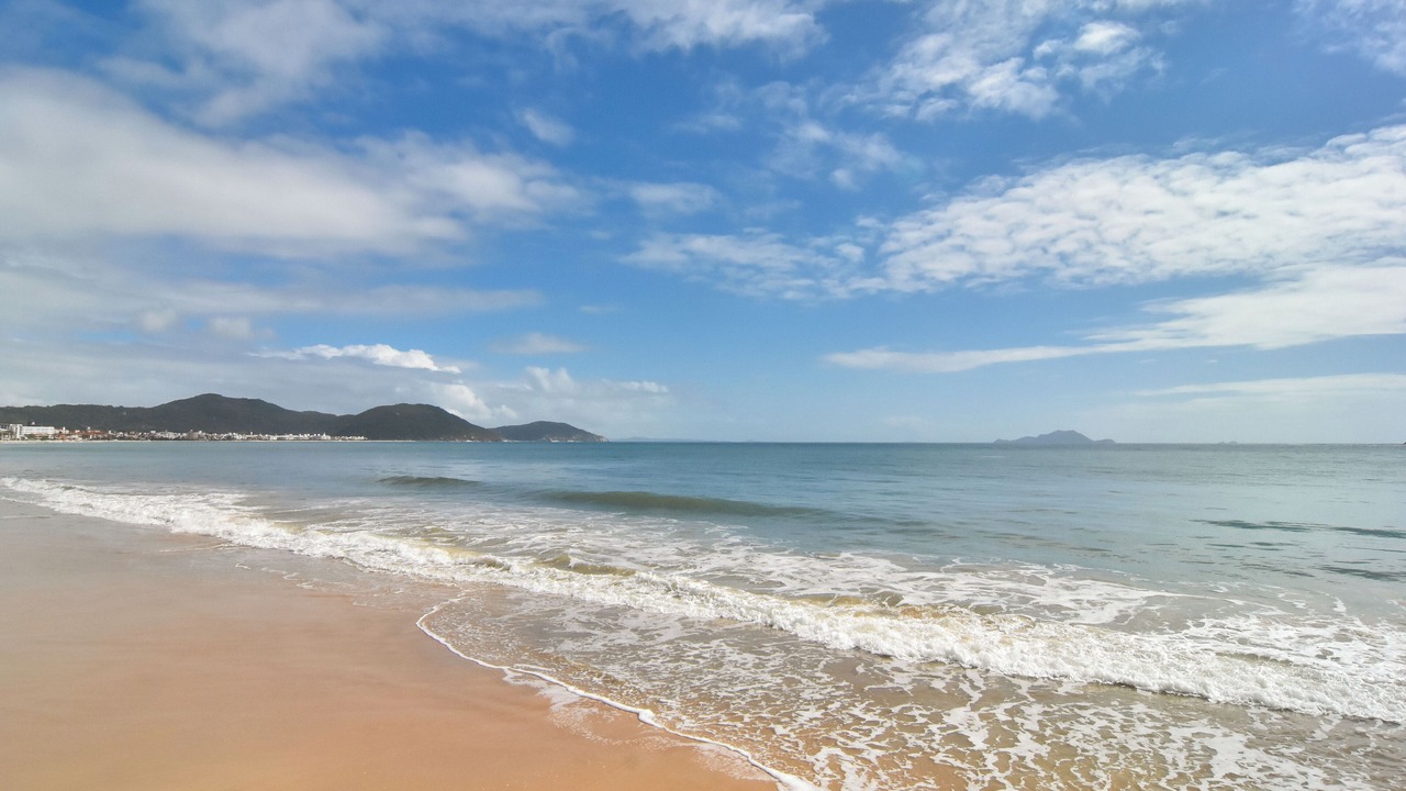 Photo of Others in Ingleses do Rio Vermelho