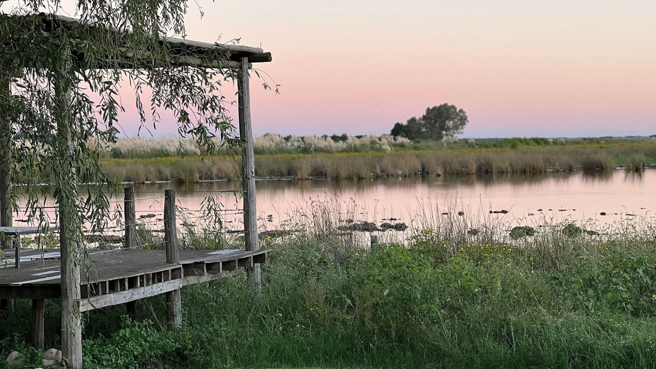 Photo of Outdoor in Abbott