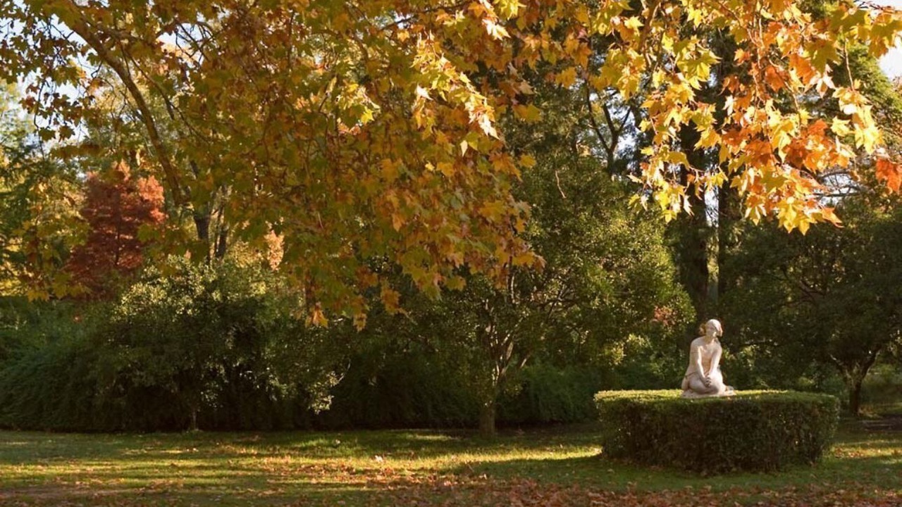 Photo of Outdoor in Spegazzini