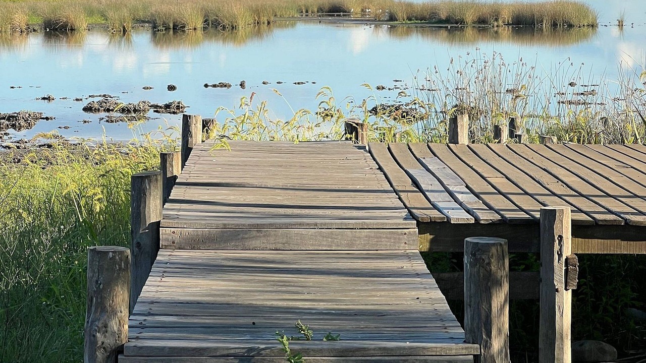 Photo of Outdoor in Abbott