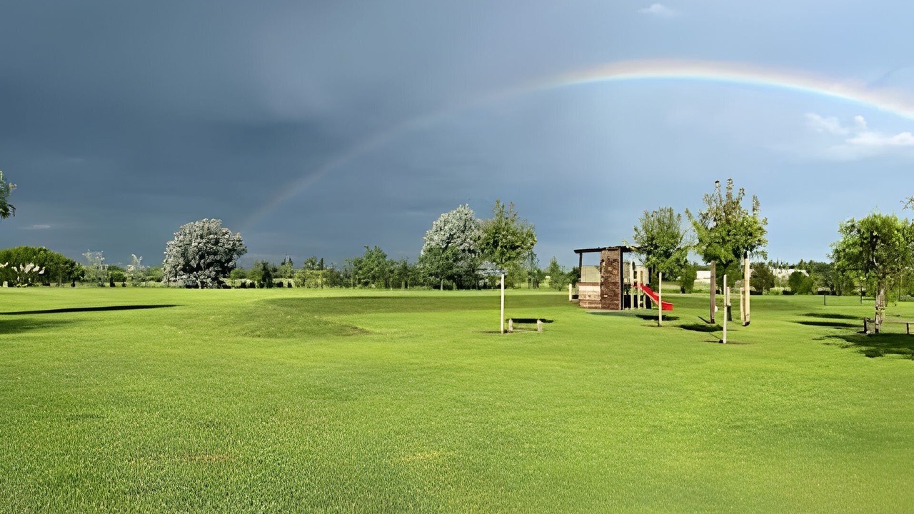 Photo of Others in Abbott