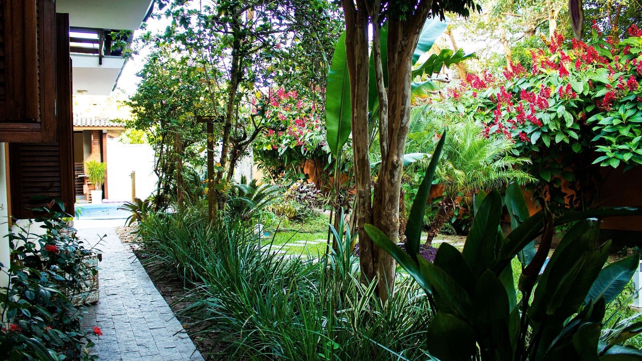 Photo of Outdoor in Campeche Norte