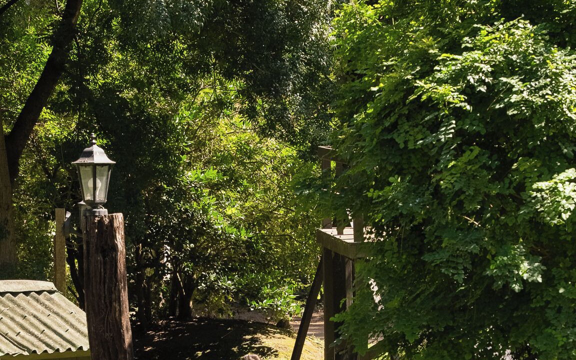 Photo of Outdoor in Carilo
