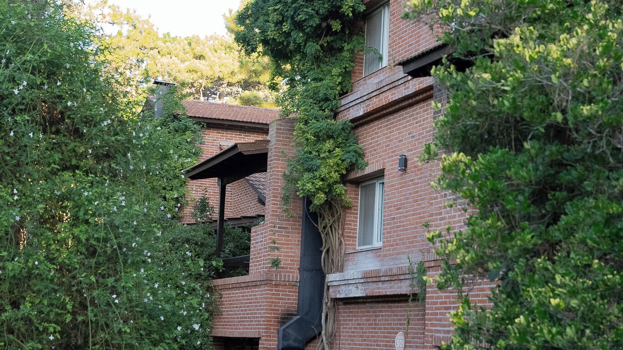 Photo of Outdoor in Carilo