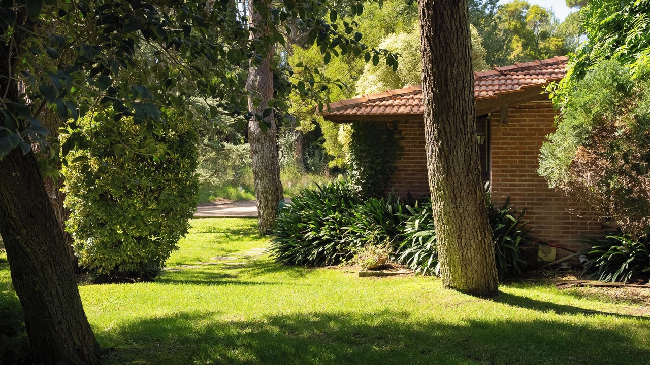 Photo of Outdoor in Carilo