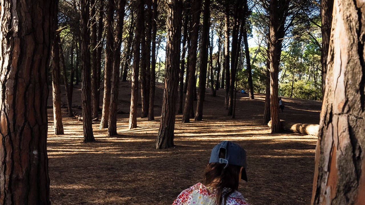 Photo of Outdoor in Carilo