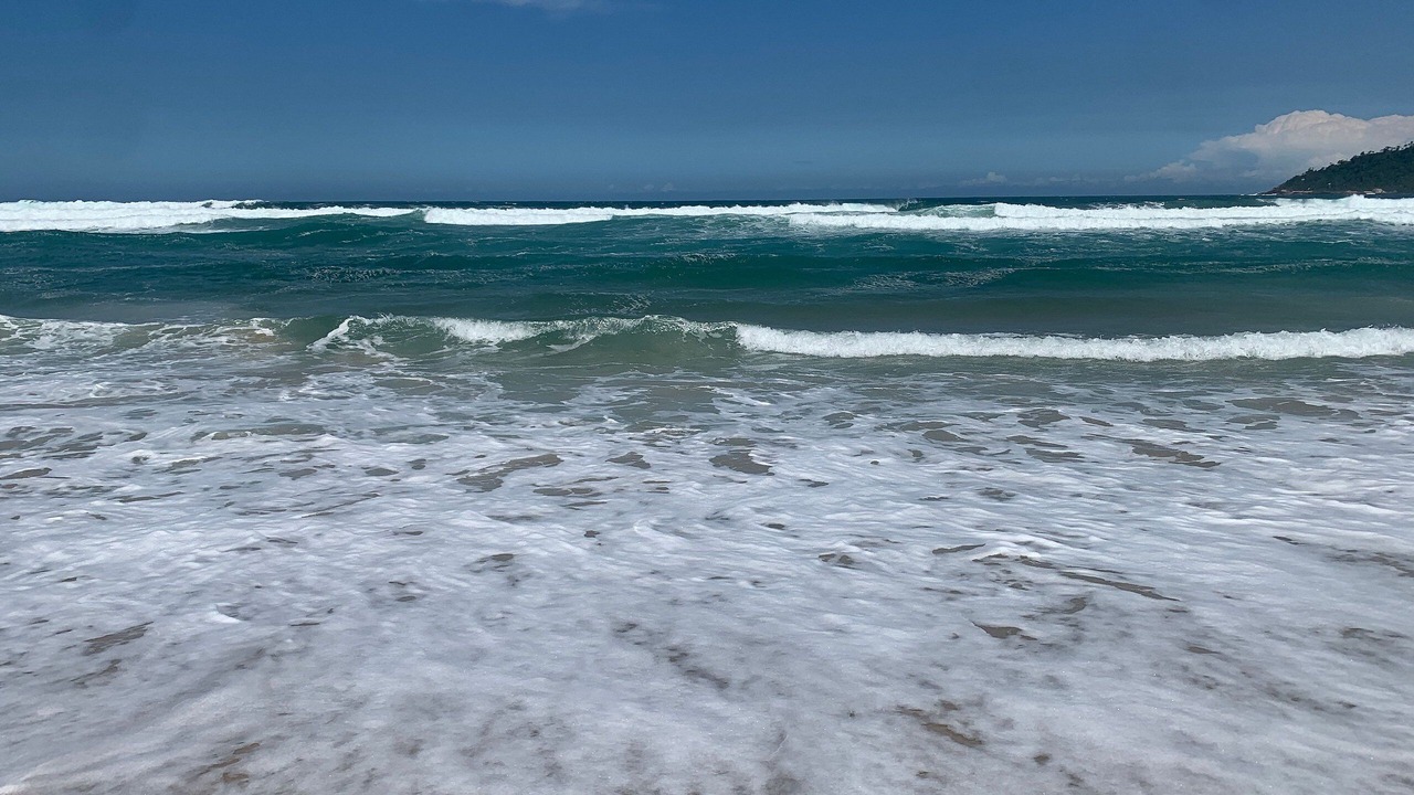 Photo of Others in Campeche Norte