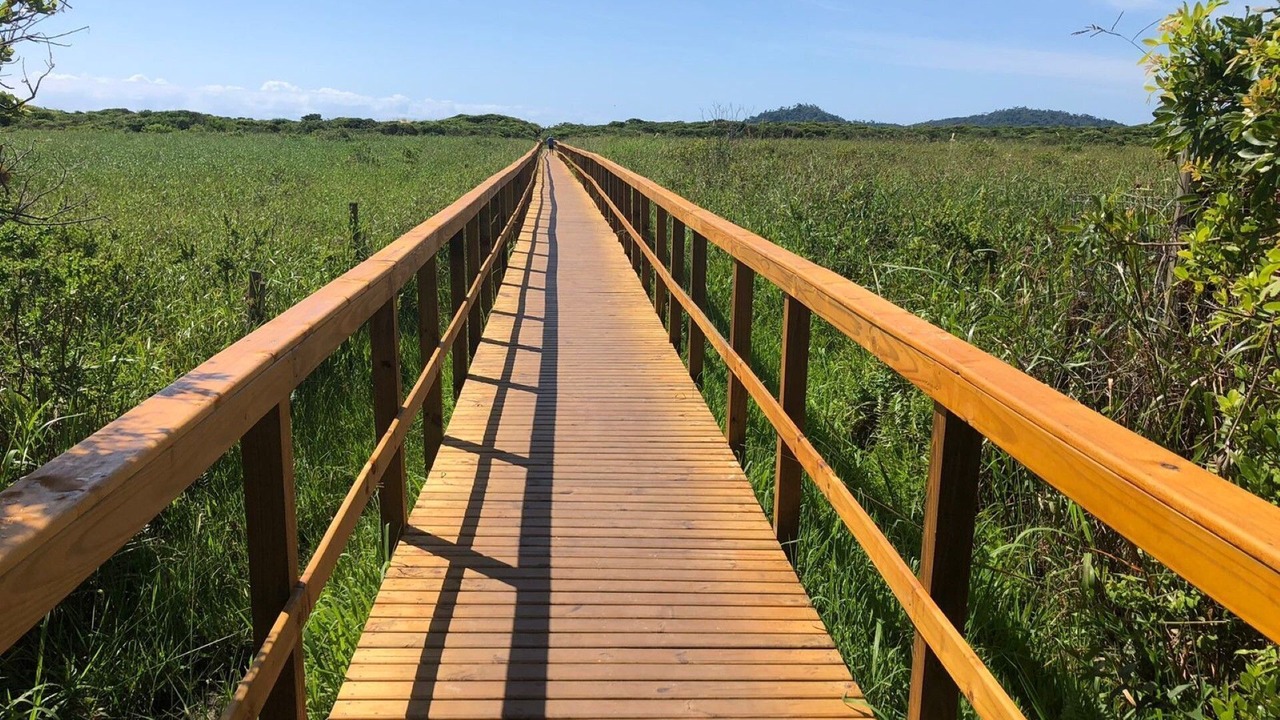 Photo of Outdoor in Campeche Norte