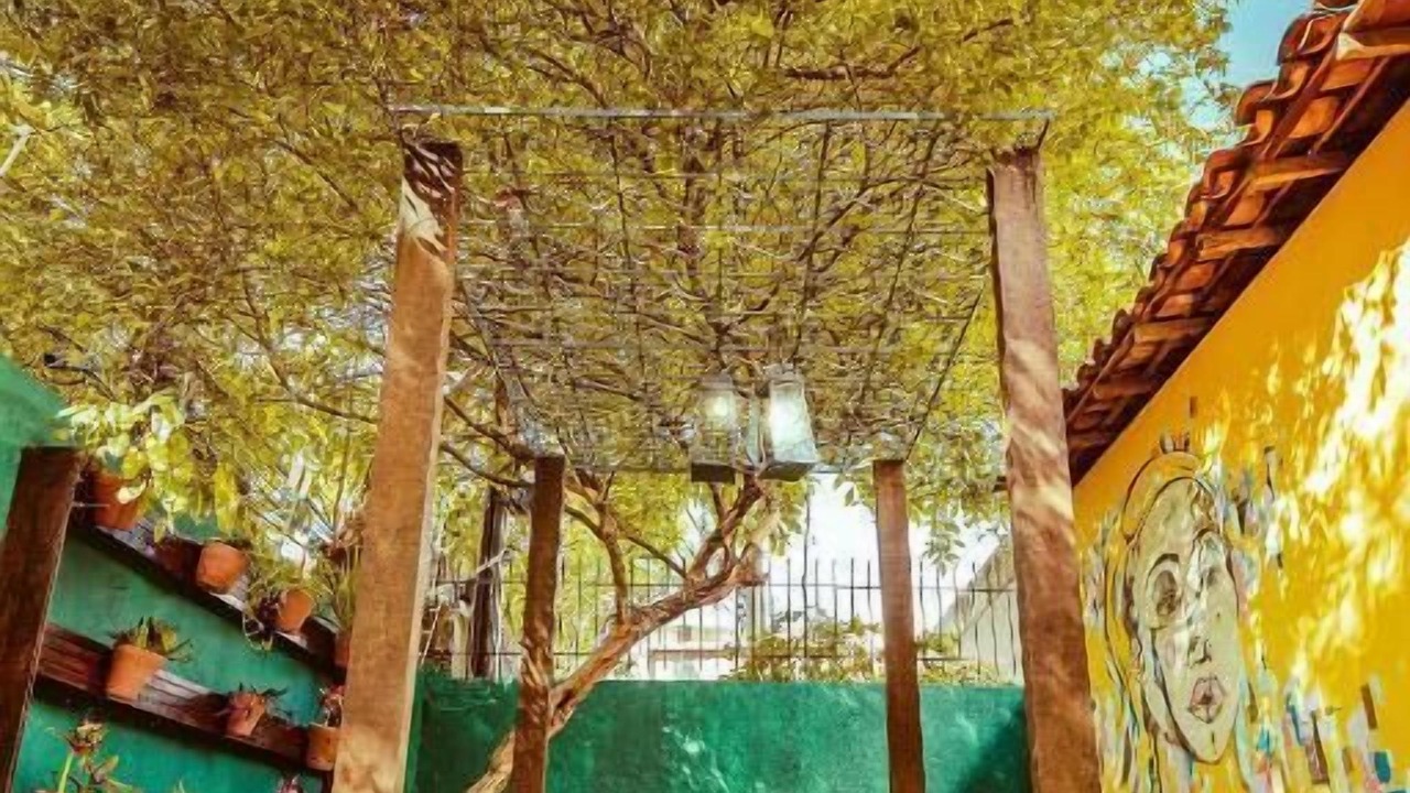 Photo of Outdoor in Pina