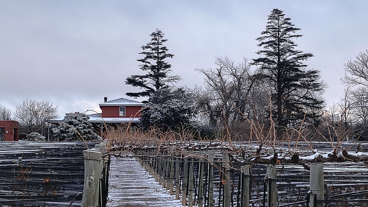 Photo of Outdoor in Ugarteche