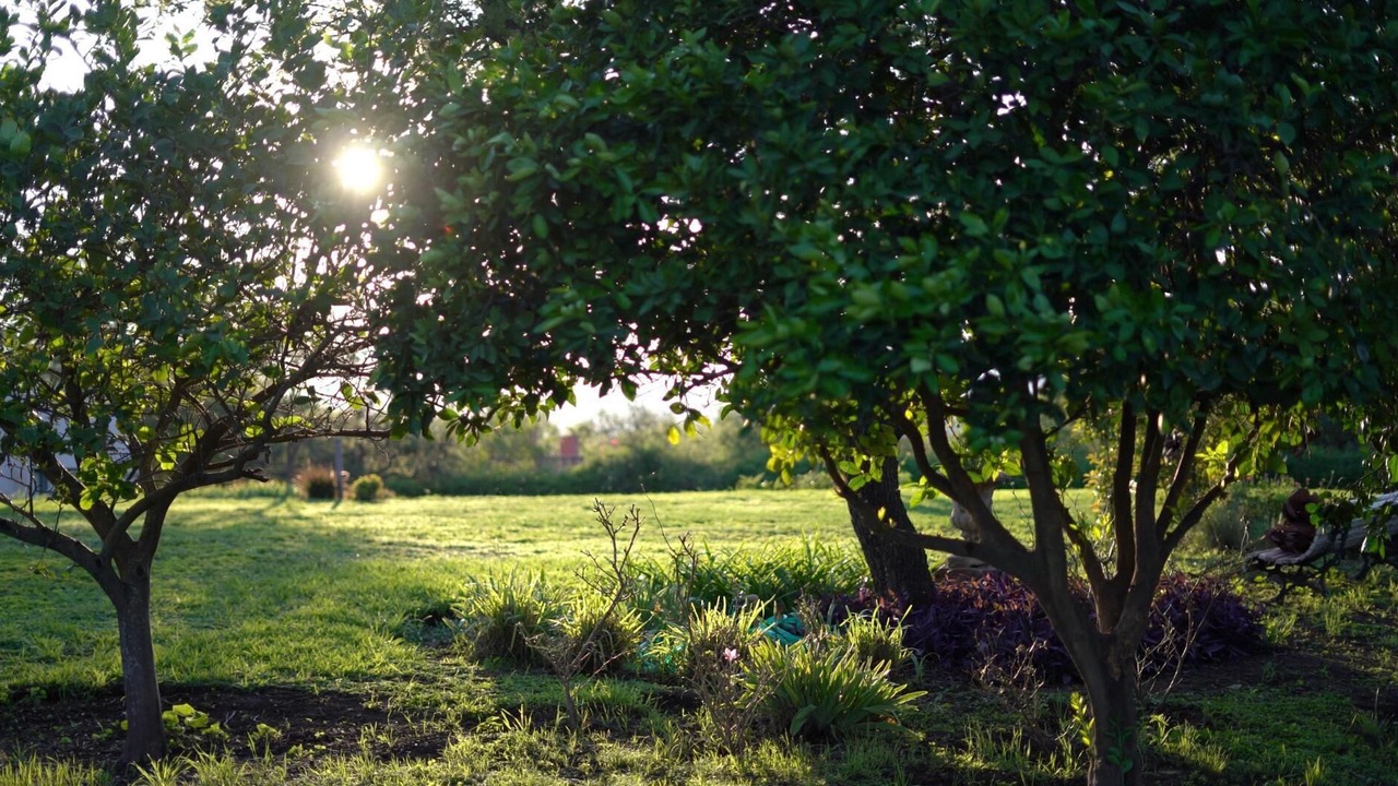 Photo of Outdoor in Villa Allende