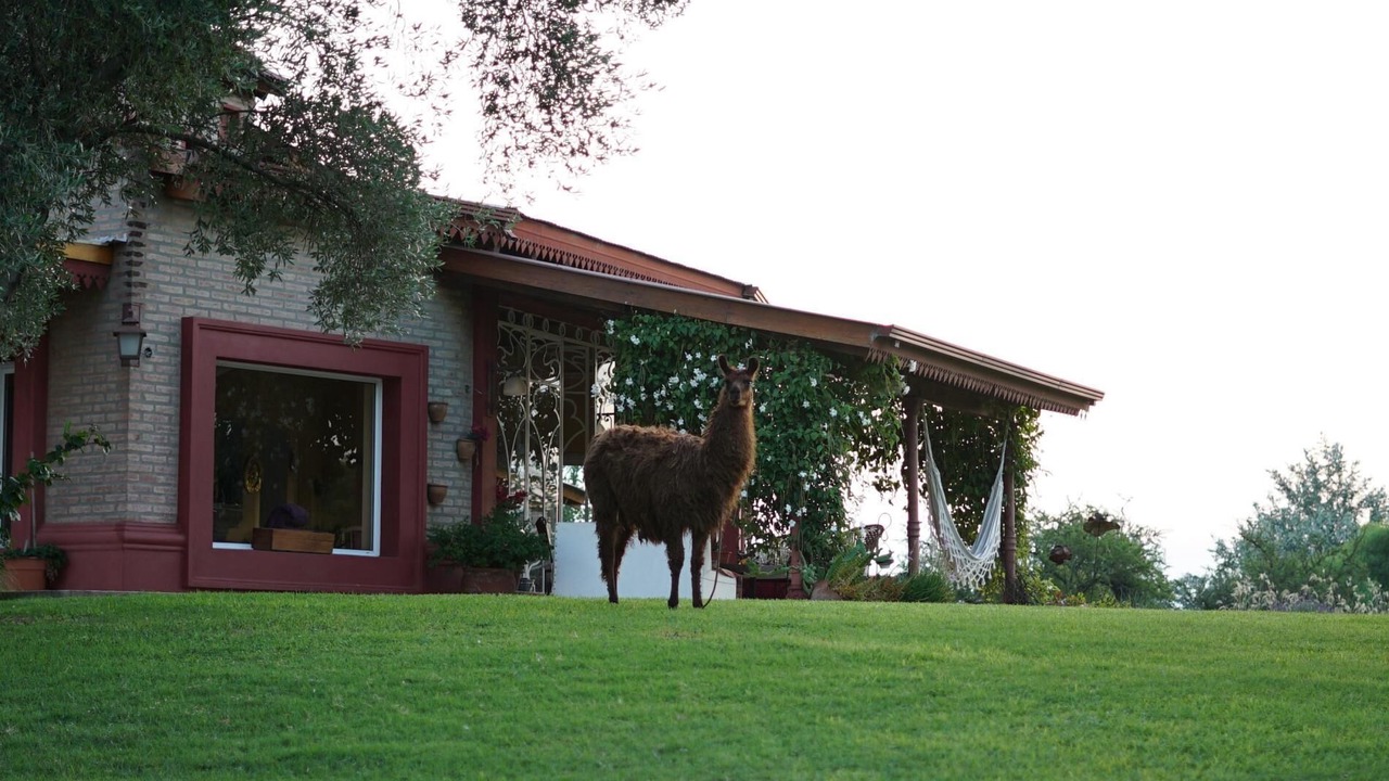 Photo of Outdoor in Villa Allende