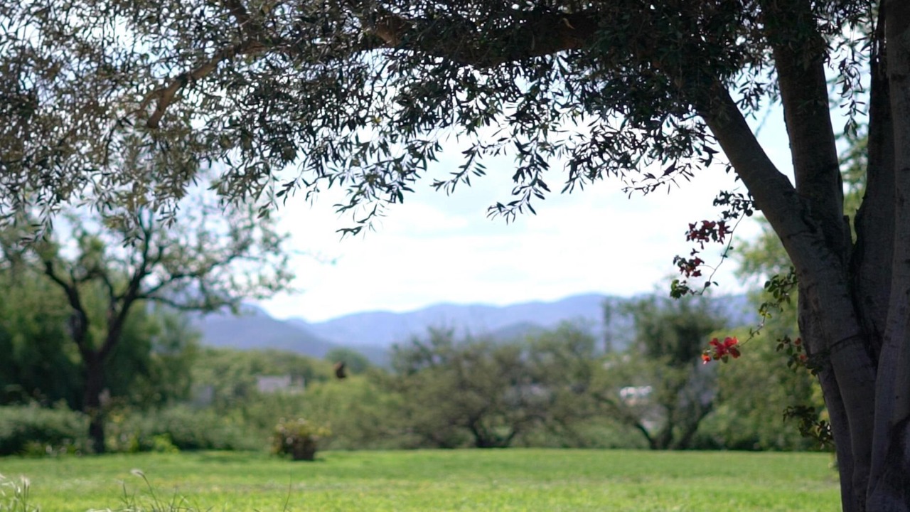 Photo of Outdoor in Villa Allende