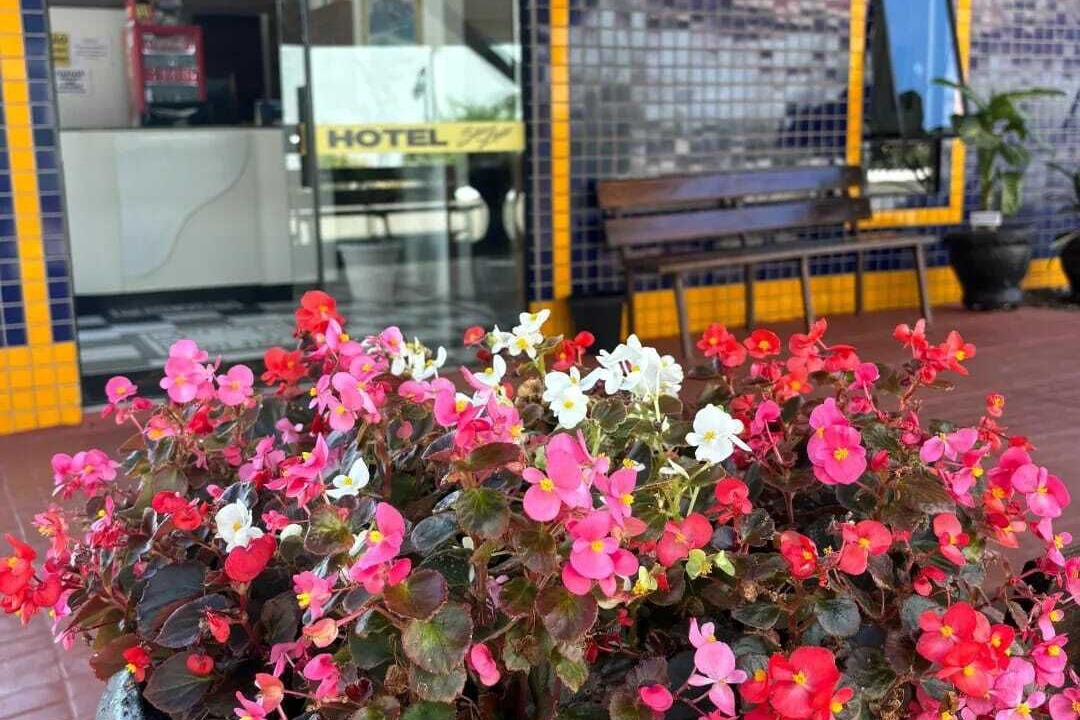 Photo of Outdoor in Pinhao